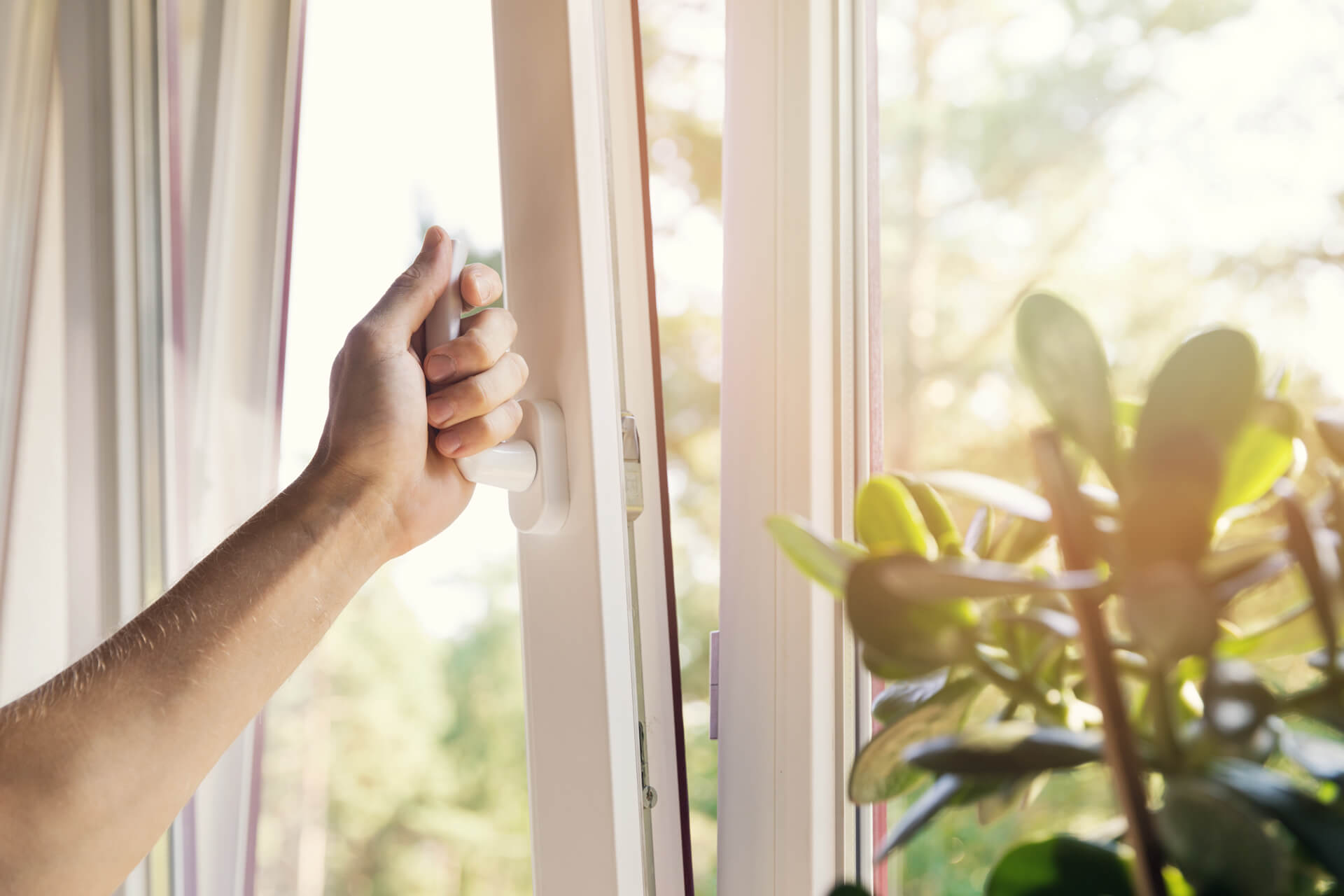 das Fenster öffnen